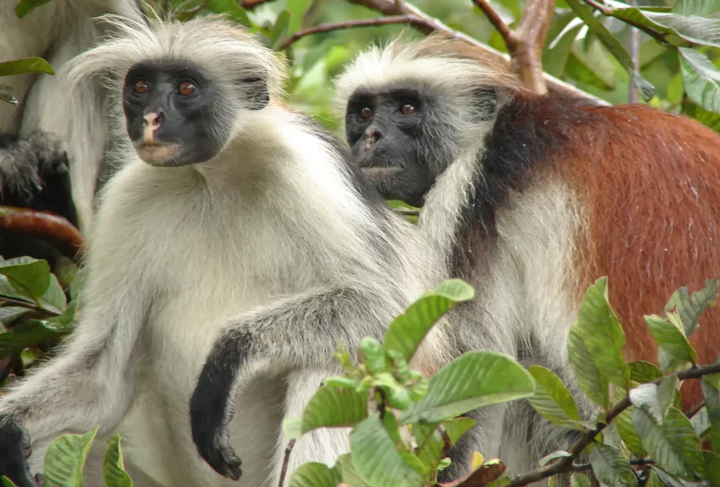 nature-and-wildlife-experiences