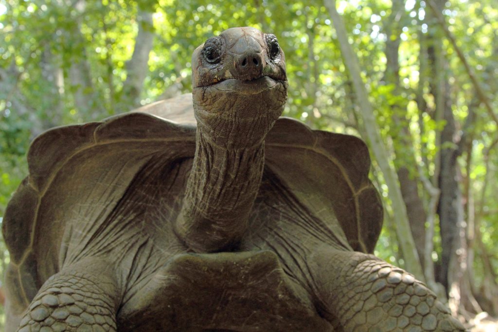 nature-and-wildlife-experiences